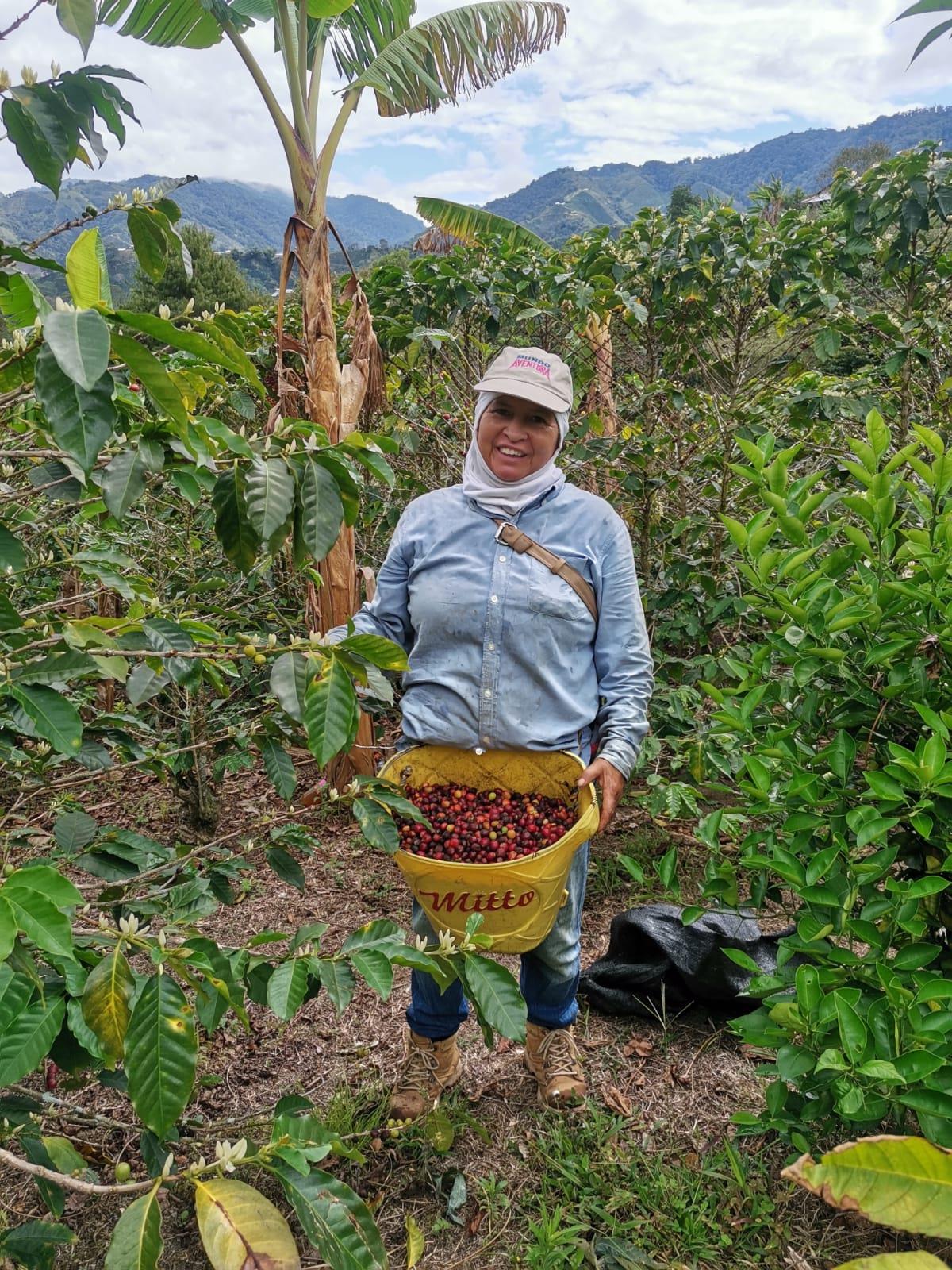 Colombian Single Origin