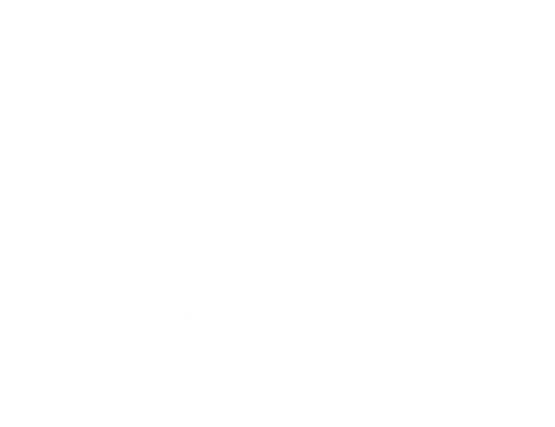 person on skateboard with dog - and coffeee
